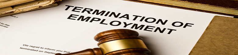 Droit de l'emploi